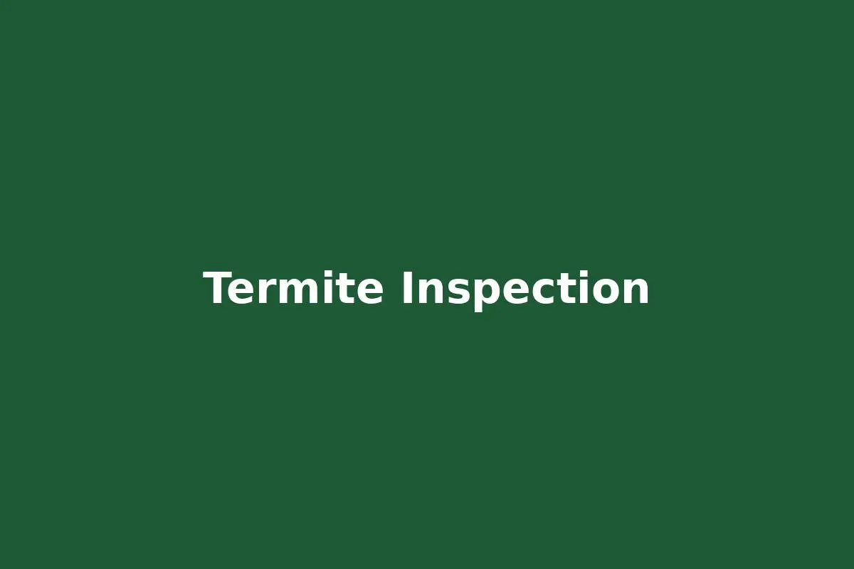 Termite Inspection St George Louisiana