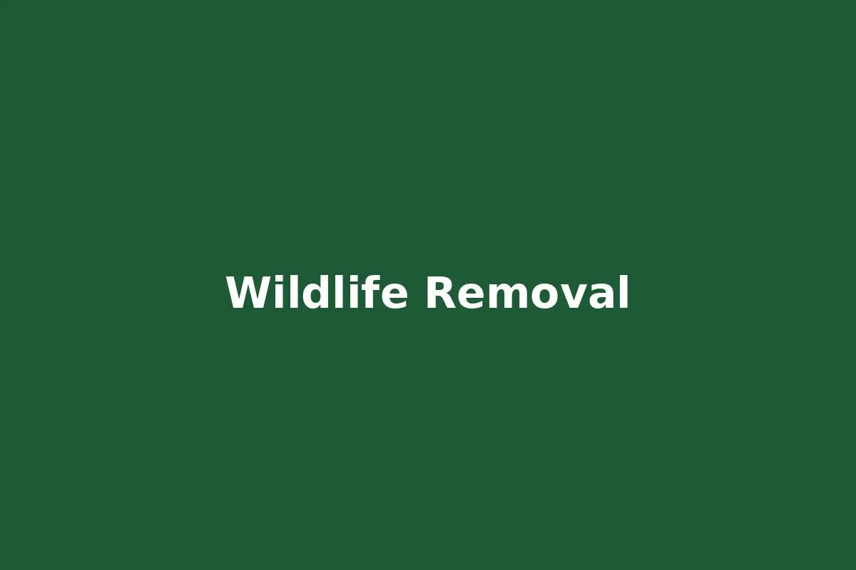 Wildlife Removal St George Louisiana